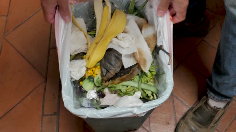 Best Recycling Services for Junk  in Clemmons, NC